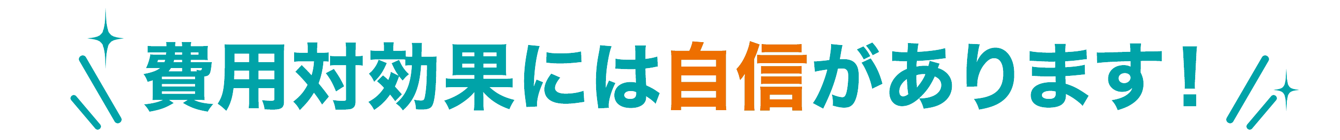 費用対効果には自信があります！